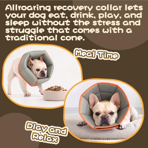 Adjustable Dog Cone for Spay (Orange / XL(Neck Girth:16.54"-21.65"))