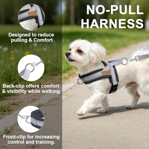 Small Dog Harness and Leash Set (Grey / S: Chest 17.5"-22")