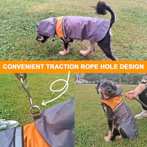 Dog Raincoat with Reflective Strip (M / Grey)