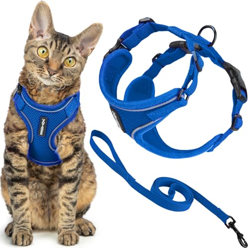 Voyager Escape (Royal Blue (327) / XS (Chest: 13 - 16"))