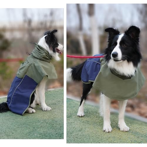 Dog Raincoat with High Collar (Green&Navy / Medium(13-22lb))