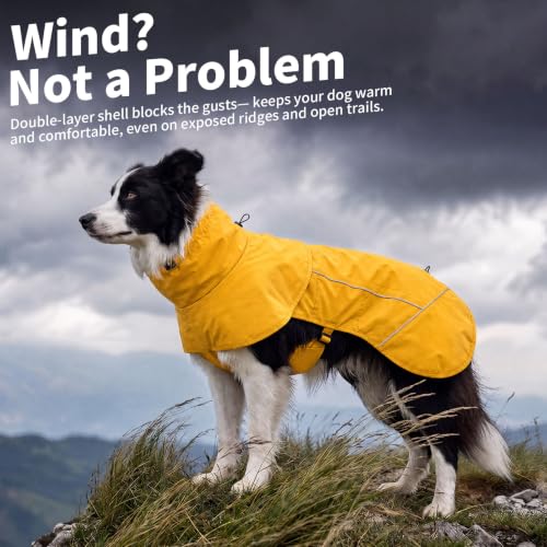Dog Raincoat Full Body Coverage Waterproof Windproof Hooded Jacket (Yellow / XX-Large)