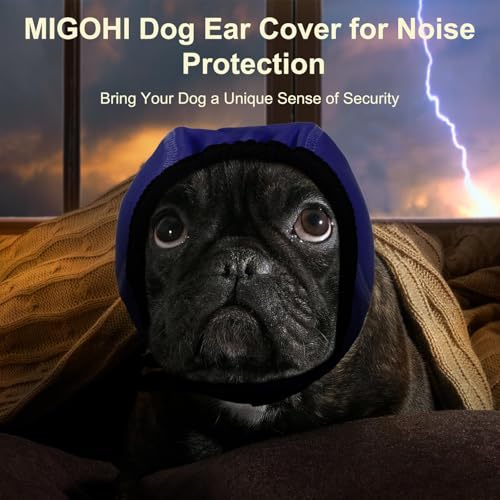 Dog Ear Muffs Noise Protection (L / Navy Blue)