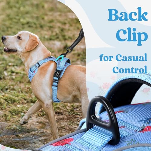 Dog Harness Small Sized (Small / Floral Blue)