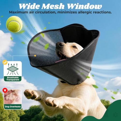 Soft Dog Cone Collar (Black / L(Neck Girth: 15.5''-17.5''))