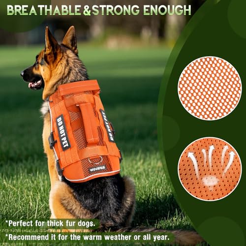 Tactical Molle Vest Mesh Dog Harness with 10 Removale Pet Patches (Small / Orange)