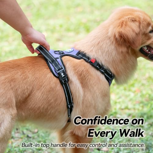 No Pull Dog Harness Small with Front Clip & Neck Release Buckle (S / Light Blue)