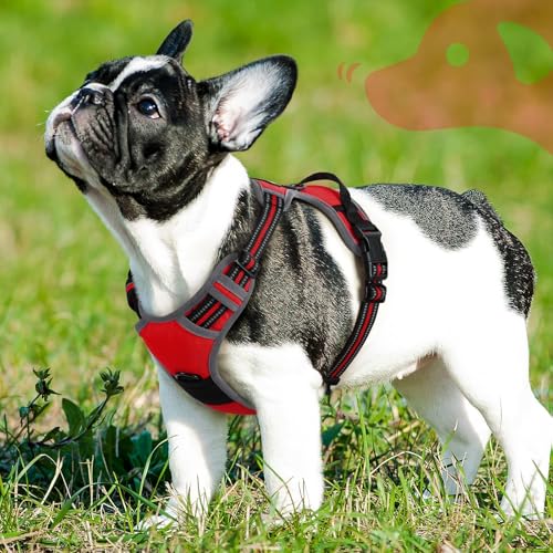 Dog Harness for Small Dogs (Small / Red)