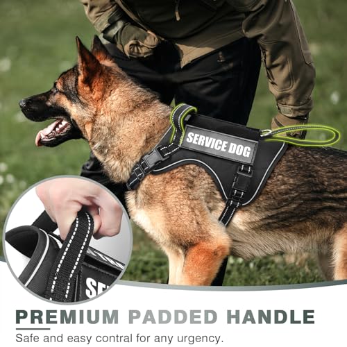 Tactical Dog Harness (Small / Black)