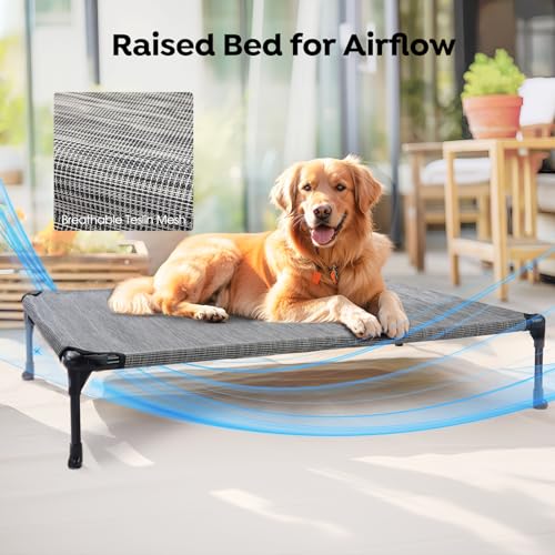 Outdoor Elevated Dog Bed with Waterproof Bolster Cushion (Black Silver / 32.0"L x 25.0"W x 7.0"Th)