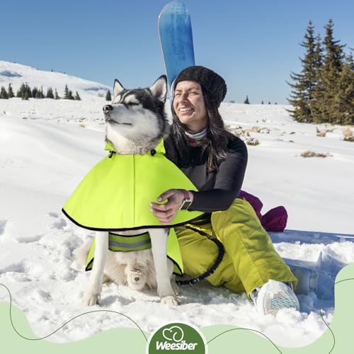 Reflective Waterproof Dog Raincoat (X-Large / Green)
