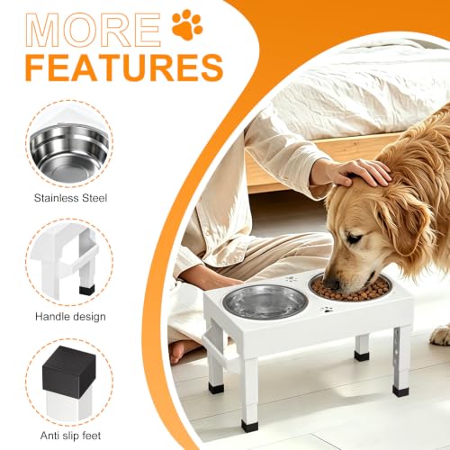 Elevated Dog Bowls Stand Large Breed (White)