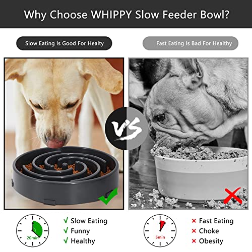 Slow Feeder Large Dog Bowl (Large / D-gray)