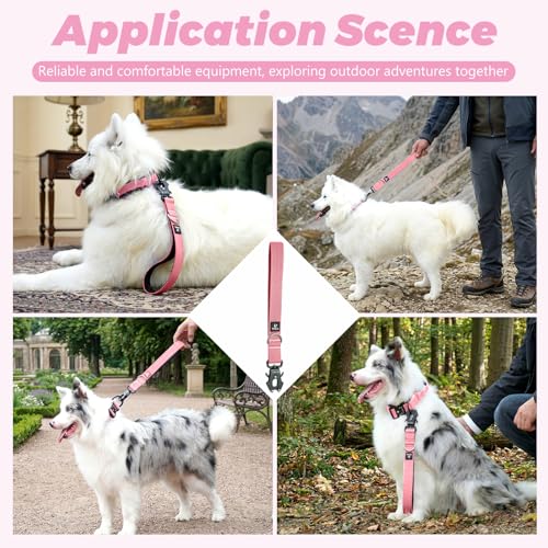 14 Inch Traffic Dog Leash with Padded Handle (Pink)