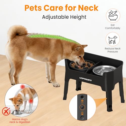 Elevated Dog Bowls for Small Dogs (Black / Small)