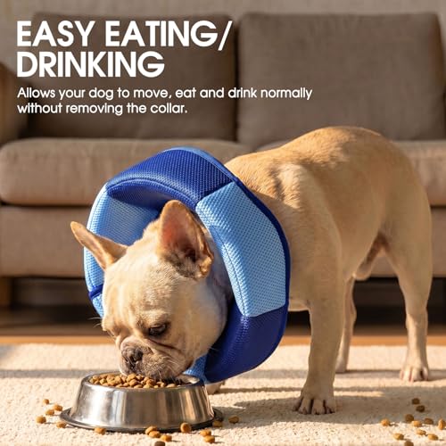 Dog Cone Soft Cone for Dogs to Stop Licking (Dark Blue / Small)