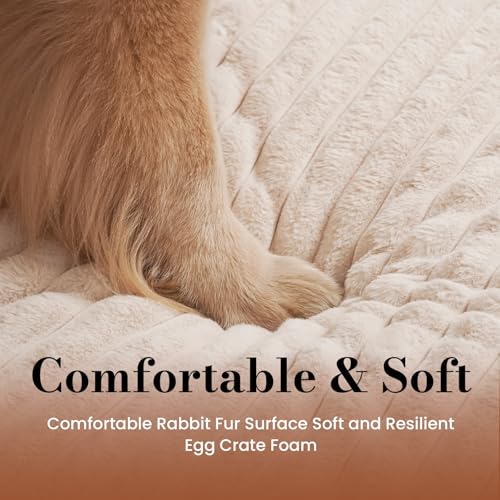 Extra Large Dog Bed Orthopedic Foam with Waterproof Lining (X-L(42"*30"*4") / Cream)