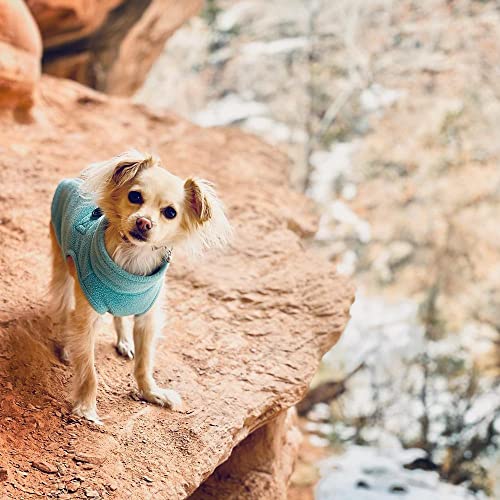Zip Up Fleece Dog Sweater (Small chest (~13.5") / Turquoise)