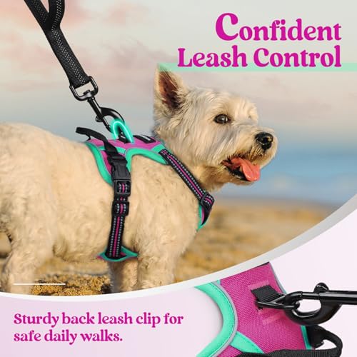 Dog Harness No Pull for Small Dogs with 2 Leash Clips (X-Small / Hot Pink & Turquoise)