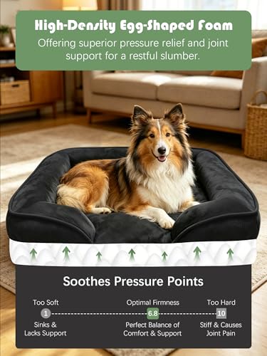 Orthopedic Dog Bed with Sides (38.0"L x 28.0"W x 6.5"Th / Black)