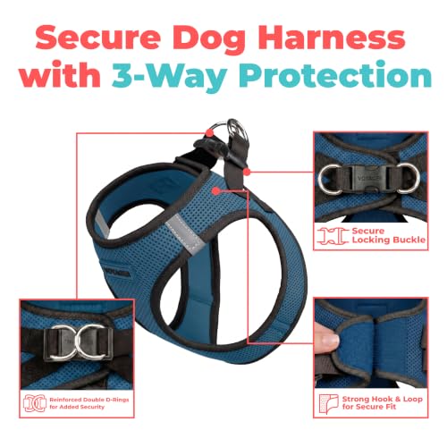 Voyager Step in Air Dog Vest Harness (Blue/Black Trim / S (Chest: 14.5 - 16"))