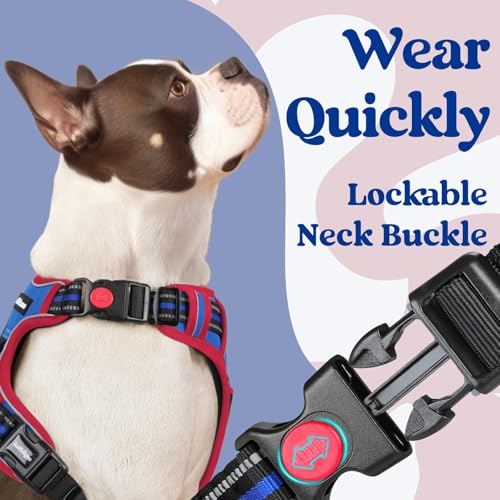 Dog Harness Small Sized (Small / Blue & Red)
