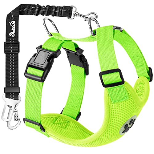 Dog Seat Belt and Harness for Car (Lime / XX-Small)