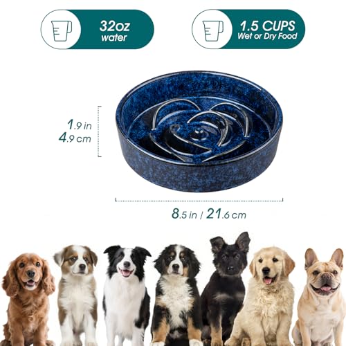 Slow Feeder Dog Bowl (M - 1.5 Cups / Blue)