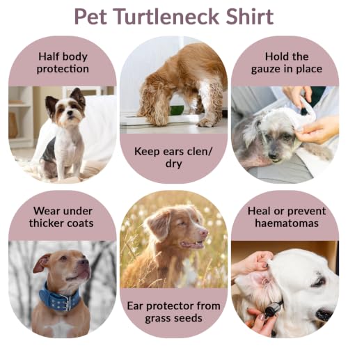 Dog Medical Shirt Neck Cover (Purple / 3XL(Chest: 34.3"))