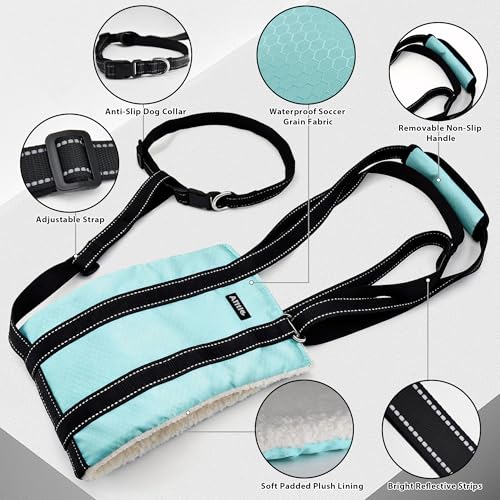 Dog Lift Harness for Senior or After Surgery (Turquoise / L)
