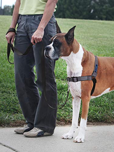 Easy Walk Deluxe Dog Harness (Large / Steel)