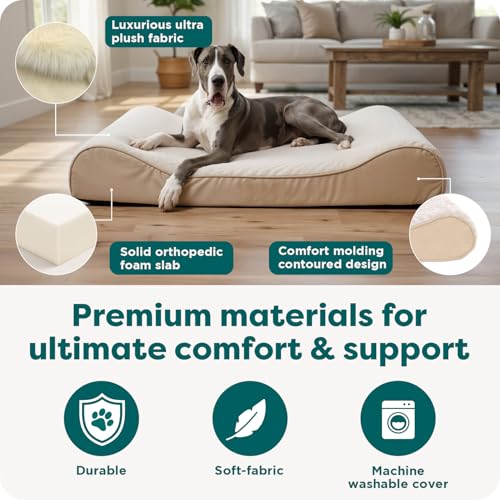 Orthopedic Dog Bed for Large Dogs (Jumbo Plus/XXL / Cream)