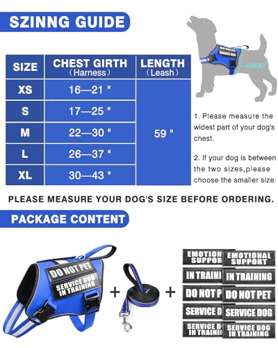 Small Service Dog Vest Harness and Leash Set+10 Patches Blue XS (Extra-Small / Blue)