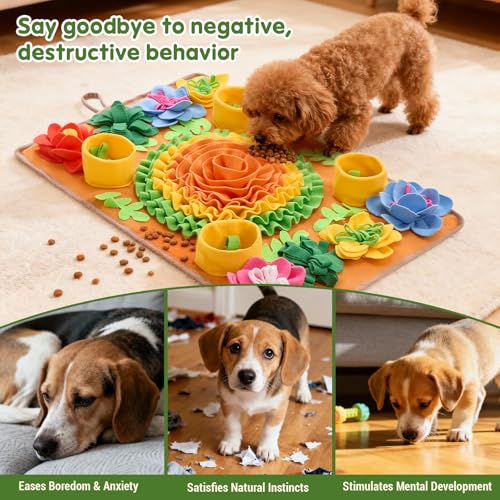 Snuffle Mat for Dogs