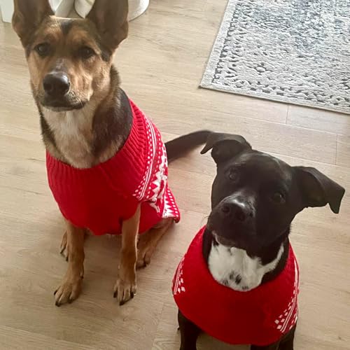 Dog Ugly Christmas Sweater for Small Medium Dog (X-Large (19-27lbs) / 1# Christmas)