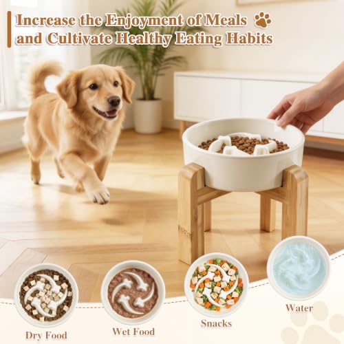 6.3” Elevated Slow Feeder Dog Bowls (White-M)