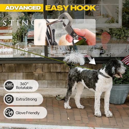 10 FT Heavy Duty Dog Leash (10 Feet (Pack of 1) / Green)