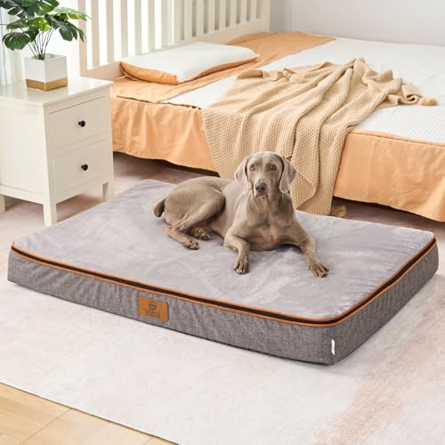 Orthopedic Memory Foam Giant Dog Bed (53.0"L x 36.0"W x 6.0"Th / Light Grey)