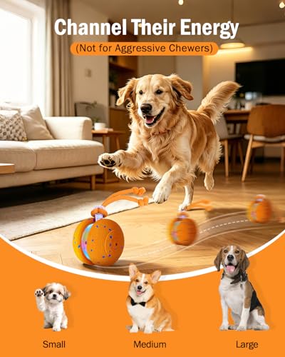 Interactive Dog Toy (Orange)