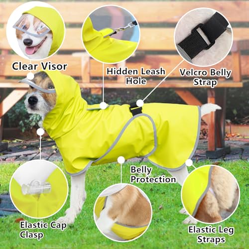 Dog Raincoat Hooded Slicker Poncho (Medium / Green)