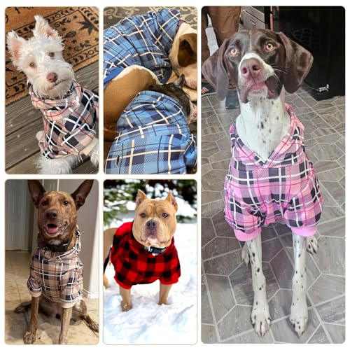 Plaid Dog Hoodie (Small / Blue)