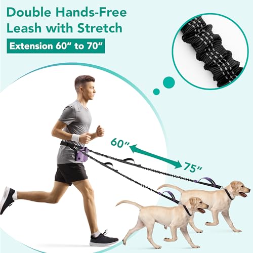 Premium Hands Free Dog Leash for 2 Dogs (Purple / 2 Leashes)