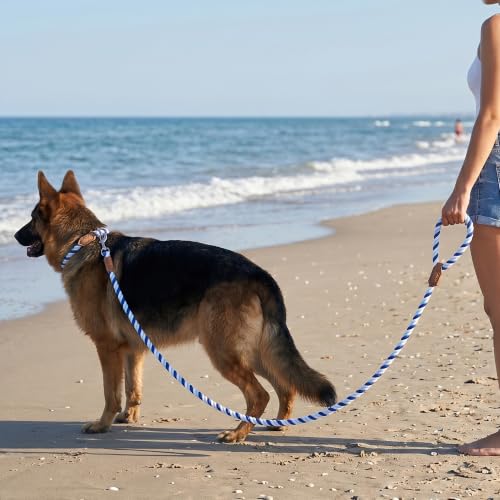 Rainbow Dog Leash Braided Cotton Rope w Leather (Blue Gradient / 60 Inch-1/2")