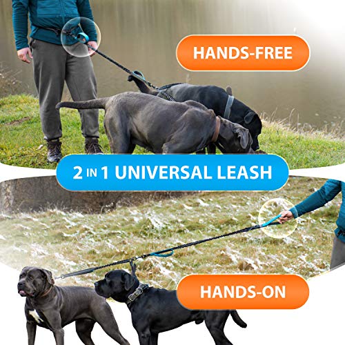 Hands Free Dual Dog Leash (Blue / 2 dogs M/L)