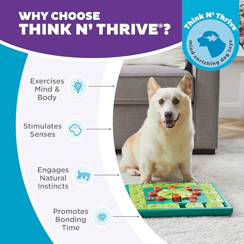 Nina Ottosson MultiPuzzle Dog Toy Treat Puzzle (Multipuzzle (Green) / 1 Count (Pack of 1))