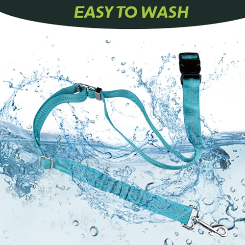 Golf Cart Dog Seat Leash (Blue)
