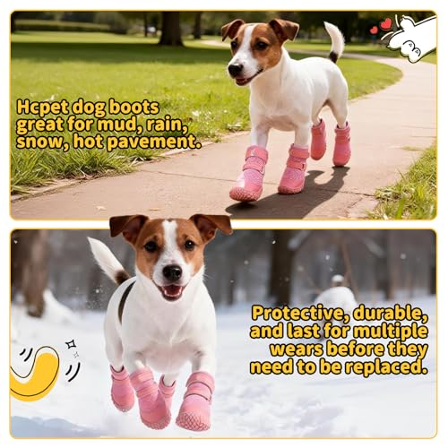 Dog Shoes for Small Dogs (Pink / #2 (Width 1.29 inch) for 6.6-11.0 lbs)