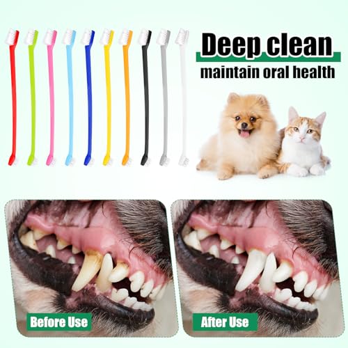 100pcs Dog Toothbrush Bulk