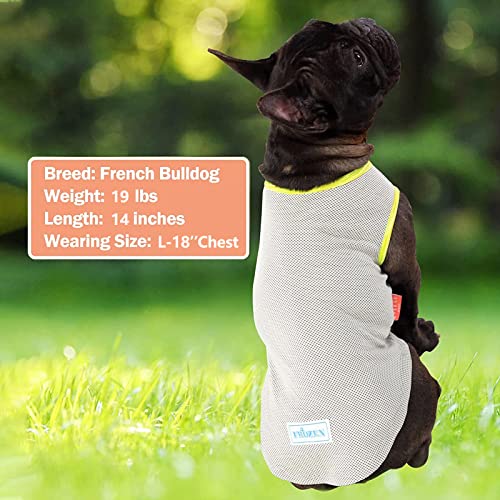 2Pack Dog Shirt for Small Dogs Soft Breathable T (Large (13-19lbs) / 5# Blue+Grey)