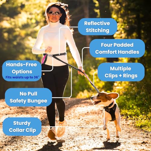 Heavy Duty Dog Leash for Large Dogs (Orange)